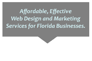 Florida Website Design and Search Engine Optimization
